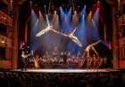 International Salieri Circus Award 2026 a Legnago