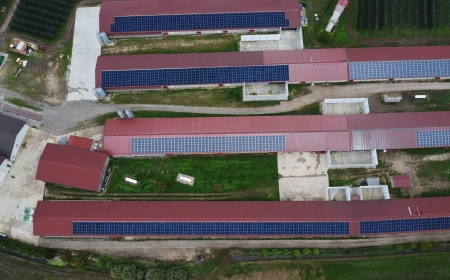 White Energy Group, cinque nuovi progetti per il Parco Agrisolare