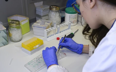 Trieste e Indonesia insieme per la ricerca di precisione sulla salute del fegato