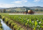 Oltre agli inquinanti perenni, ora l’UE potrebbe consentire anche pesticidi con licenza perenne