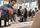 Back to the Wine 2026: a Cesena il vino incontra i suoi artigiani