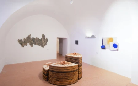 FONDAZIONE GARUZZO PRESENTA "UNA COLLEZIONE IMPERMANENTE",IL NUOVO ALLESTIMENTO ALLA CASTIGLIA
